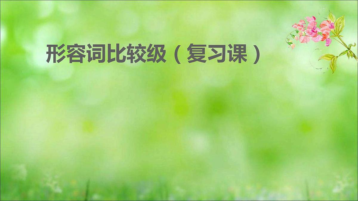 中考英语（人教新目标）形容词比较级 复习课件第1页