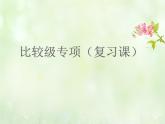 中考英语（人教新目标）英语  比较级专项  复习课件