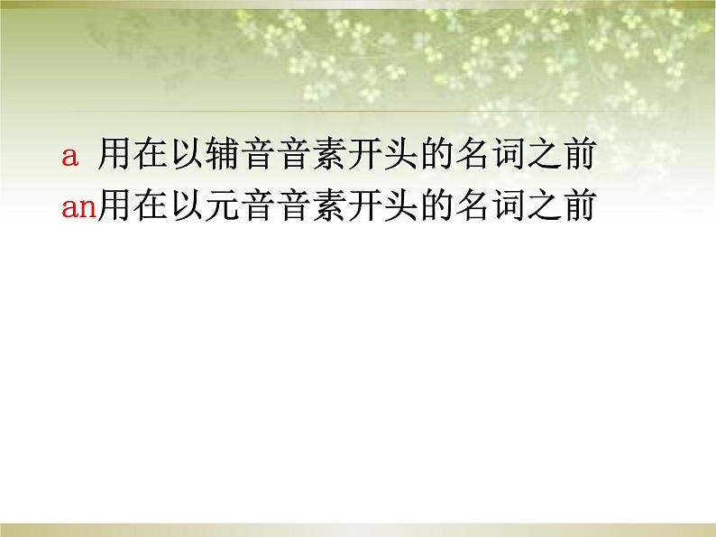 中考英语（人教新目标） 冠词  复习课件第7页