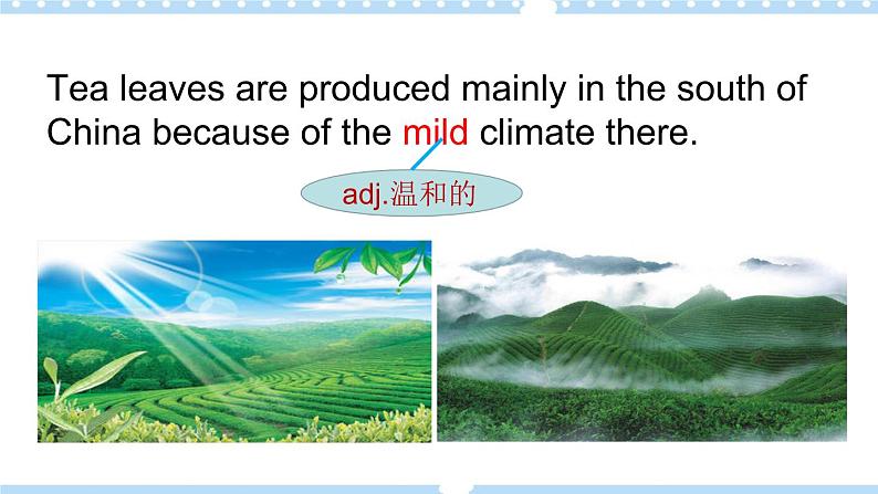 Unit5 Topic1 SectionD 课件+教案07