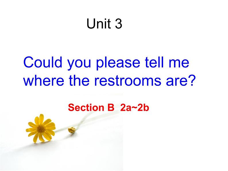 9年级人教版全一册Unit 3 Could you please tell me？ Section B  课件301