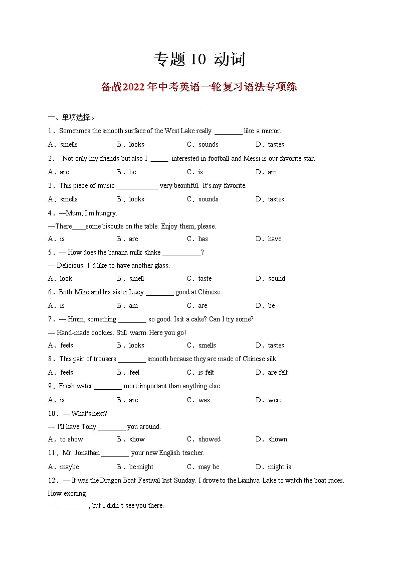 专题10-动词-备战 中考英语一轮复习语法专项练（全国通用版）（原卷版）第1页