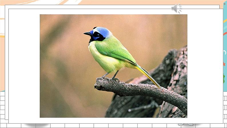 英语译林版9年级下册 U4 Reading (II) 课件第2页