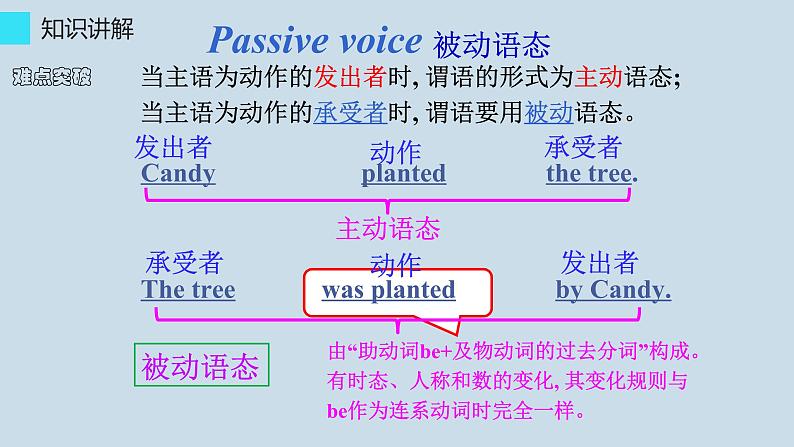 中考复习人教版  一般现在时的被动语态  课件第4页