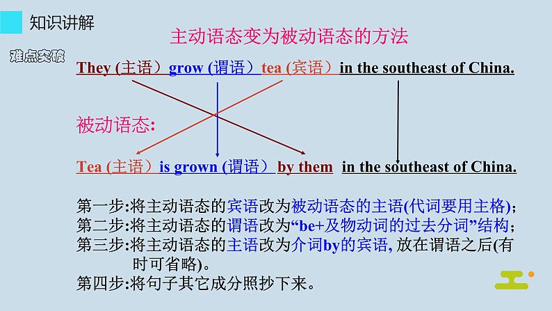 中考复习人教版  一般现在时的被动语态  课件第5页