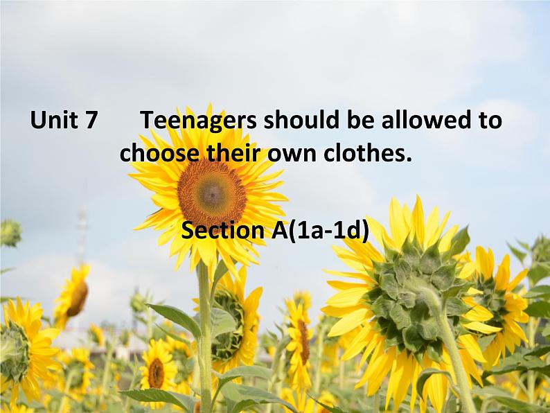 9年级人教版全一册 Unit 7 Teenagers should be allowed to  choose their own clothes.  Section A  课件01