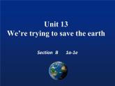 9年级人教版全一册  Unit 13 We're trying to save the earth! Section B   课件1