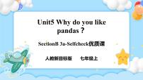 人教新目标 (Go for it) 版七年级下册Unit 5 Why do you like pandas?Section B完美版ppt课件