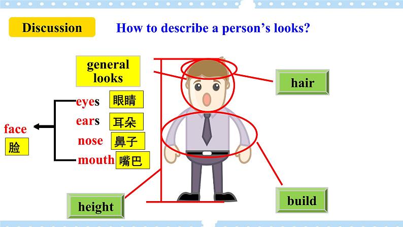 Unit9 What does he look like？SectionB (1a-1e ) 课件+导学案+音视频03