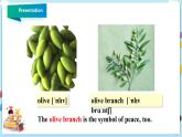 冀教版英語九年級下冊  Lesson 39 The Dove and the Olive Branch課件+教案+導學案