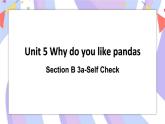 Unit 5 Section B 3a-Self Check 课件