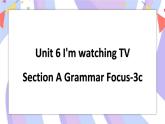 Unit 6 Section A Grammar Focus-3c 课件