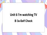 Unit 6 Section B 3a-Self Check 课件