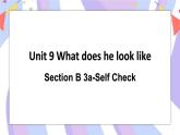 Unit 9 Section B 3a-Self Check 课件