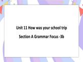 Unit 11 Section A Grammar Focus -3b 课件