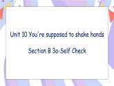 Unit 10 Section B 3a-Self Check 课件+教案