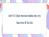 Unit 11 Section B 2a-2e 课件+教案+素材