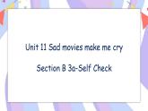 Unit 11 Section B 3a-Self Check 课件+教案