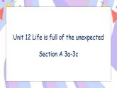 Unit 12 Section A 3a-3c 课件+教案+素材