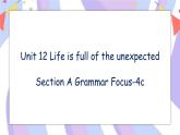 Unit 12 Section A Grammar Focus-4c 课件+教案