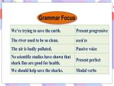 Unit 13 Section A Grammar Focus-4c 课件+教案