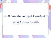 Unit 14 Section A Grammar Focus-4b 课件+教案