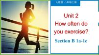 初中英语人教新目标 (Go for it) 版八年级上册Unit 2 How often do you exercise?Section B教学课件ppt