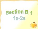 八年级英语人教版下册  Unit 1 What's the matter. Section B  课件