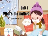 八年级下册Unit 1What's the matter SectionA (1a-2d）课件PPT