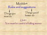外研版英语九年级下册 Module 4 Unit1 You must be careful of falling stones.课件