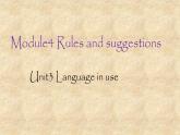 外研版英语九年级下册 Module4 Unit3 Language in use课件