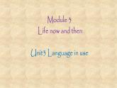 外研版英語九年級下冊 Module 3 Unit 3 Language in use課件