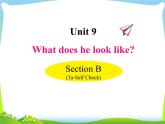人教版七年级英语下册Unit9 SectionB(3a-SC)课件