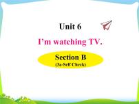 初中英语人教新目标 (Go for it) 版七年级下册Unit 6 I’m watching TV.Section B课文配套ppt课件