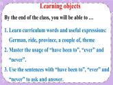 Unit 9 第3课时(A Grammar Focus-4c) 课件＋教案＋素材
