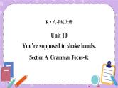 Unit 10 第3课时(A Grammar Focus-4c) 课件＋教案＋素材