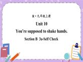 Unit 10 第6课时(B 3a-Self Check) 课件＋教案＋素材