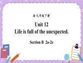 Unit 12 第5课时(B 2a-2e) 课件＋教案＋素材