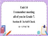 Unit 14 第6课时(B 3a-Self Check) 课件＋教案＋素材