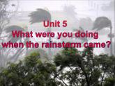八年级英语人教版下册  Unit 5 What were you doing when the rainstorm came？Section A   课件