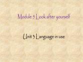 外研版英语九年级下册Module 5 Unit 3 Language in use课件