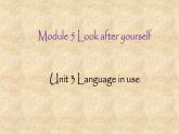外研版英語九年級(jí)下冊(cè)Module 5 Unit 3 Language in use課件