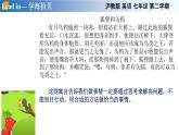Unit 6 第1课时 基础知识及拓展（备课件）-七年级英语下册同步备课系列（牛津上海版）