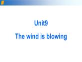 Unit 9 The wind is blowing 第1课时 基础知识及拓展（备课件）-七年级英语下册同步备课系列（牛津上海版）