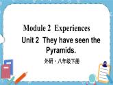 Module 2 Unit 2课件+教案+素材