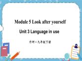 Module 5 Unit 3课件+教案+素材