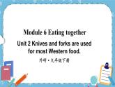 Module 6 Unit 2课件+教案+素材