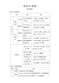 2022-2023 英语仁爱版新中考精讲精练 考点01名词