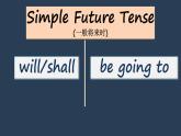 譯林版英語(yǔ)7下 Unit 2-4 PPT課件