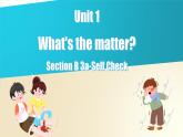 Unit 1 第6课时 (Section B 3a-Self Check)———(课件+教学设计）（人教新目标Go For It!）八年级英语下册